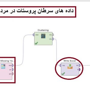 پروژه خوشه بندی داده های سرطان پروستات در مردان با الگوریتم خوشه بندی DBSCAN در ریپدماینر